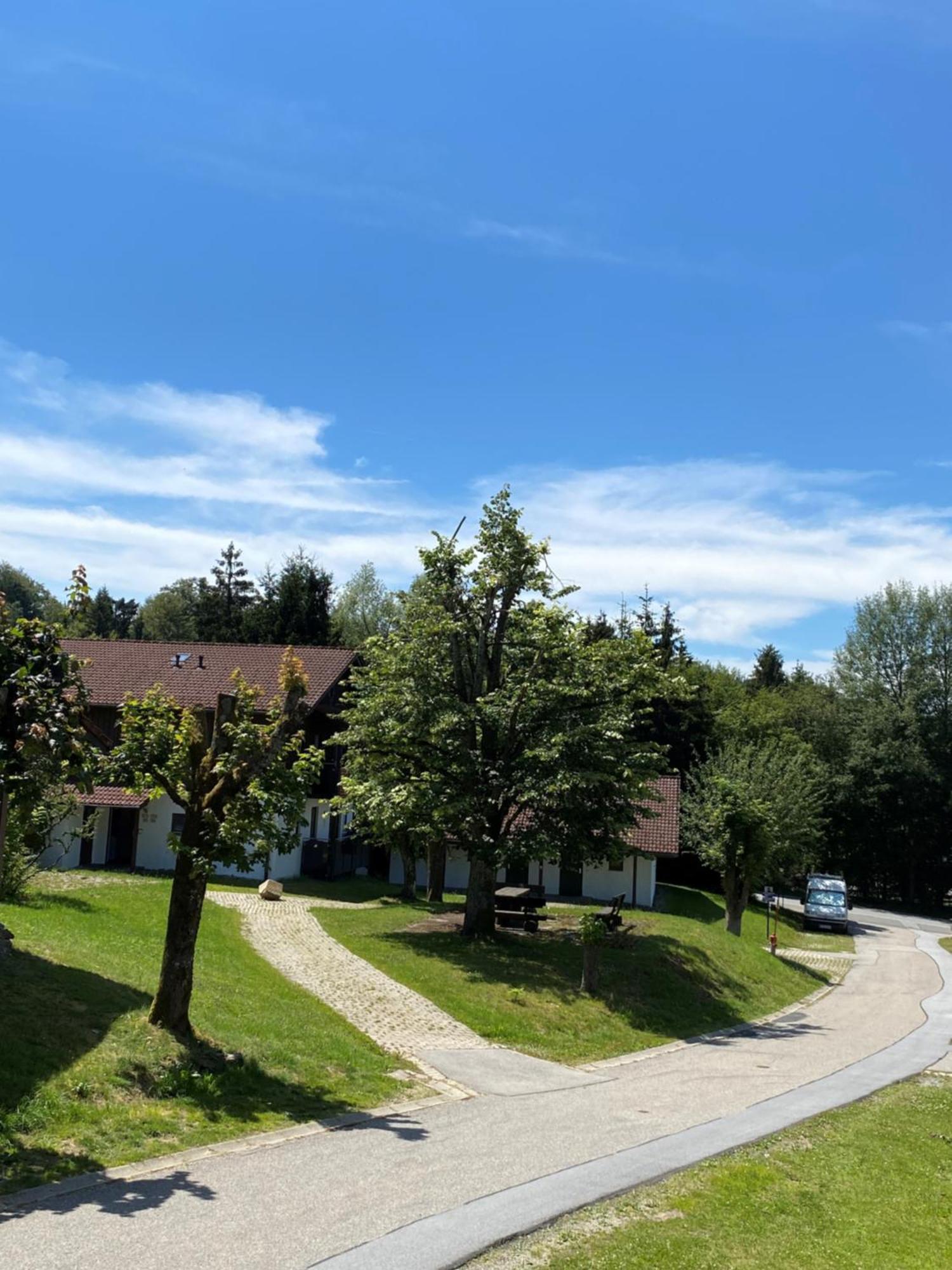 Ferienwohnung Zauberwald Waldkirchen Exteriör bild